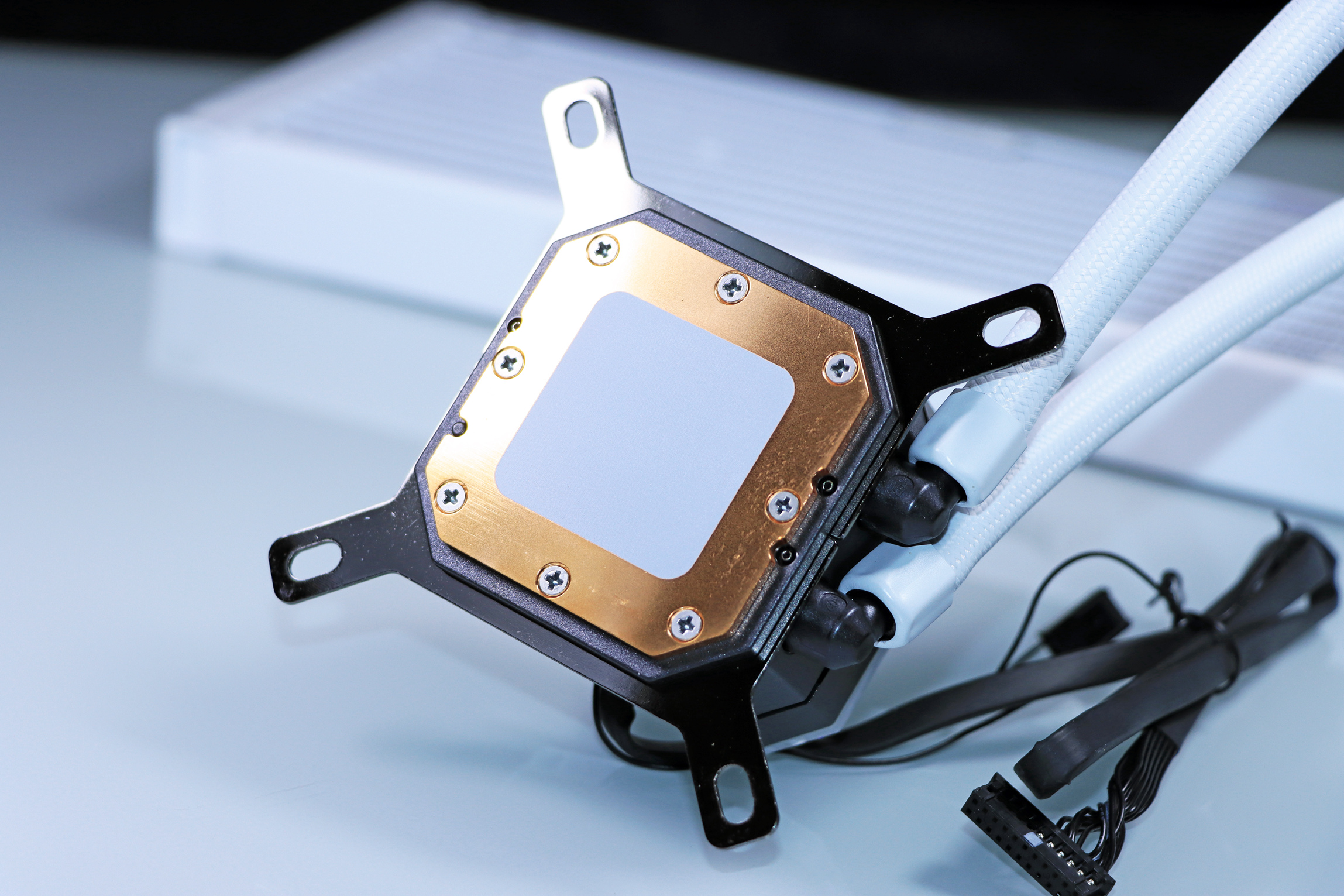 吹雪|天青色等烟雨，而我在等你，亲，吹雪不？