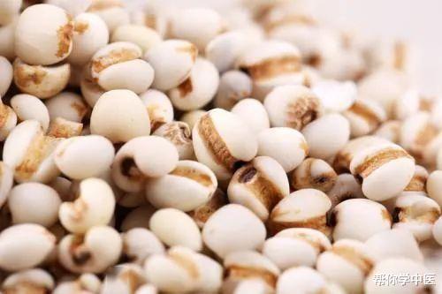 补肾|肾虚，则胖！讲一张补肾减肥的方子，肾气足，肥自消，请记好笔记