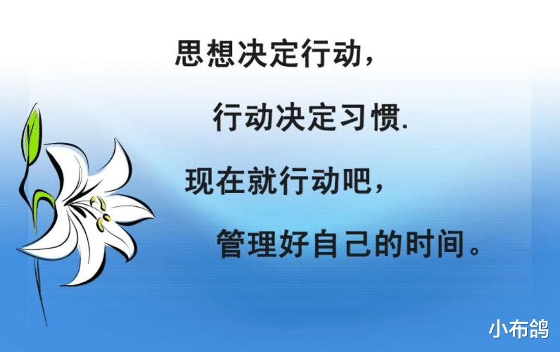 小布鸽|身上若无千斤担，谁愿拿命赌明天