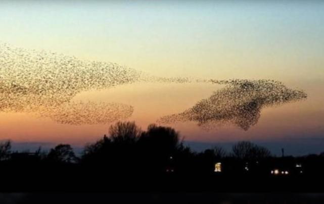  36张罕见的照片，感觉被大自然惊艳到了。