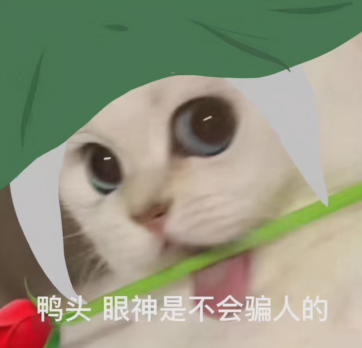 剑网3|剑网三：剑纯玩家风评被害？比起帅气校服，胎胎们更爱混迹战宝拍散件？