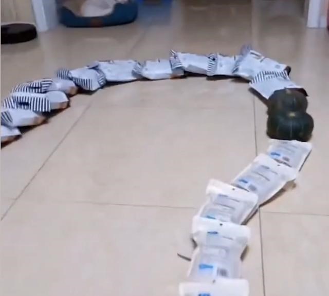 冷静点!女子囤物资,将储备的物品逐一摆放排成长龙:够开超市了