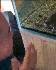 美人閣 我們工地都成了快樂的游戲場，哈哈哈