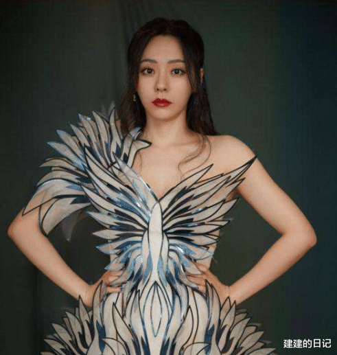 姚晨|再看2021年红毯翻车的15位女星，有人胸口套着“百叶窗”就出来了