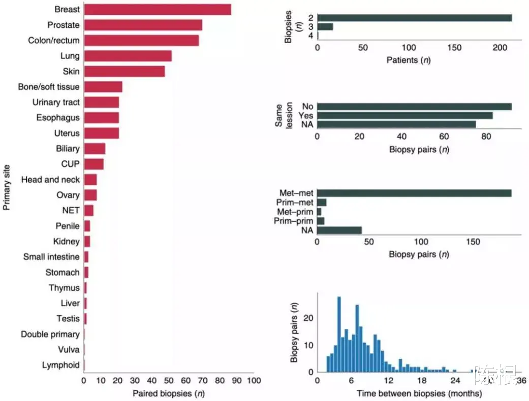 冰河时代 陈根：癌症治疗中，全基因组测序可提供充足信息