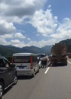 动物庄园|“尔康为什么不抱紫薇,却要搂着金锁?”