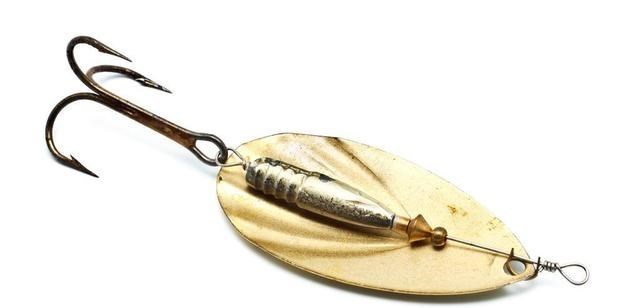 钓鱼执法|太平湖休闲垂钓新规：4种钓法3种饵料将被禁止，肯定有你常用的