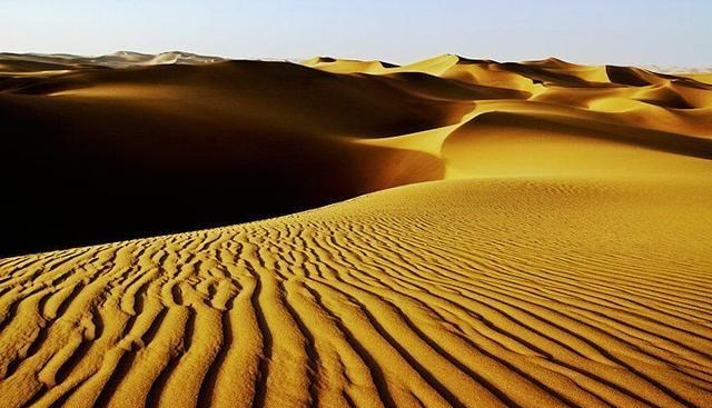 科学家 中国科学家“放大招”，沙子竟然变成土？技术先进多国请求合作！