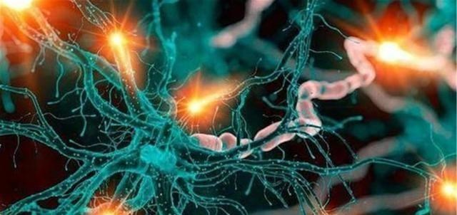 太空 章鱼有9个大脑能编辑基因，智商高到无法理解，为何没发展出文明