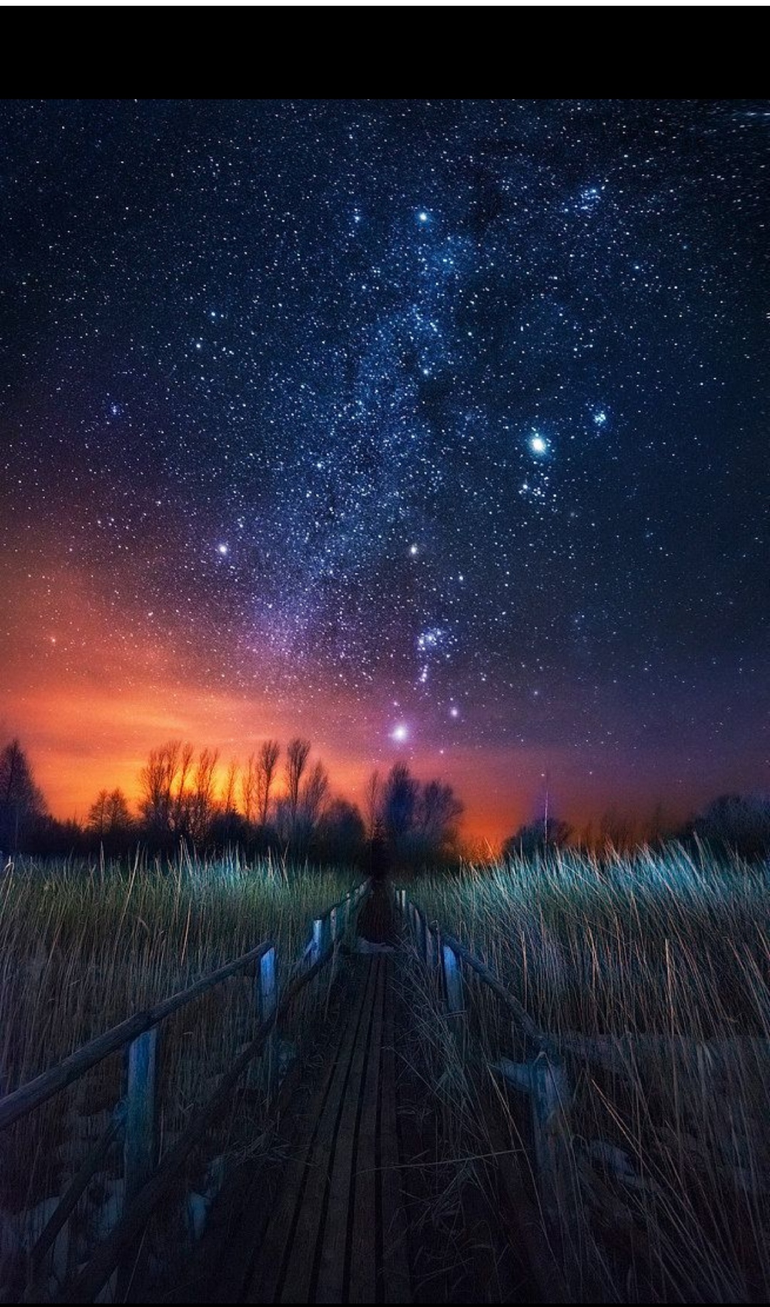 化石 星空繁星点点