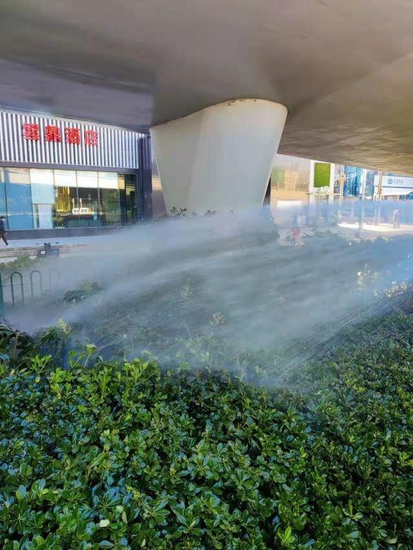 驾驶|还原植物本色，我市加强道路绿化常态化保洁