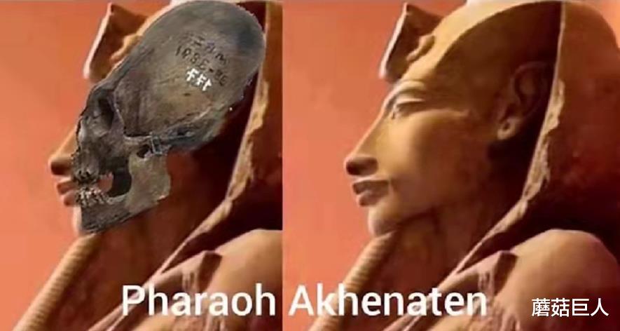 基因 让人无法信的基因检测，战败异星人受困地球，人类无形再添谜团