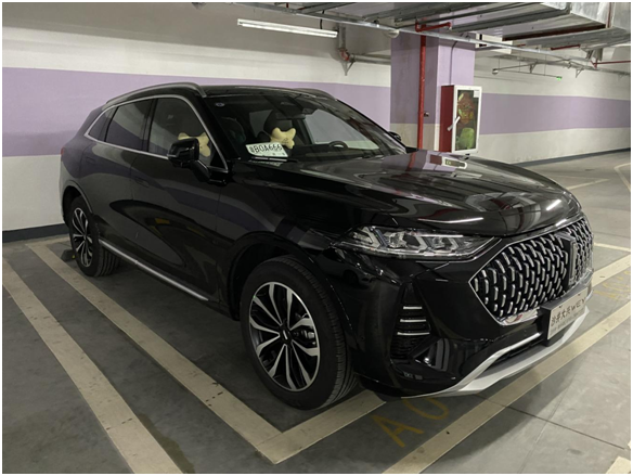 时尚生活观察|深圳首个摩卡来交作业了