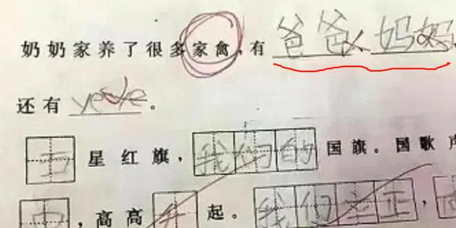 舜网 小学生“倒数第一”试卷走红,看完笑出眼泪,网友:天才段子手