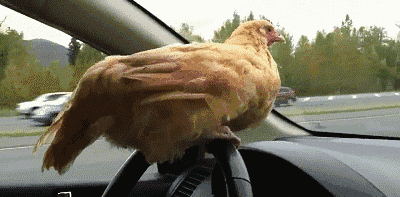 风云故事会|不笑算我输：大哥你别这样，那么多人看着怪不好意思的