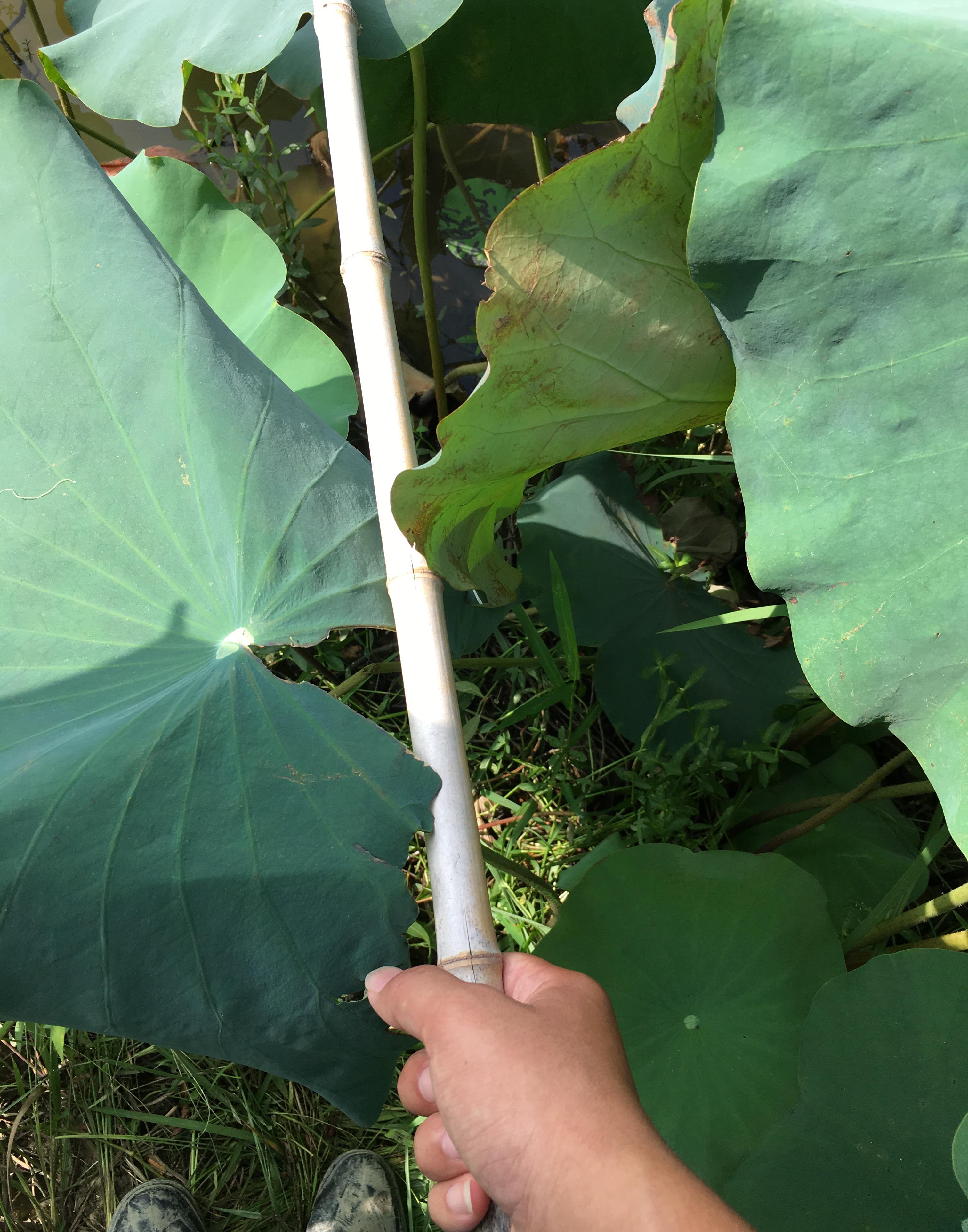 |短短十年，我成了家族中唯一的钓鱼人，不知道还能坚守多久？