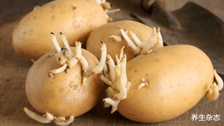 肠胃|多家医院联合声明:停止食用“1种蔬菜”,小心肠胃受损