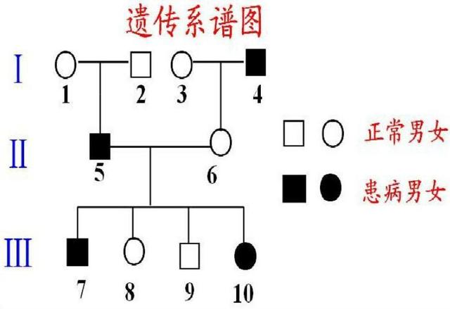 基因 人类为什么要让动物回交，回交有什么好处吗？
