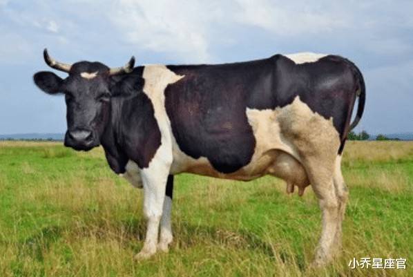 小乔星座官 10月底，再苦也能翻身的三大生肖，事业丰收，出人头地，家中财帛不缺