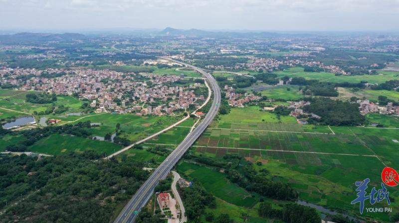 羊城派 云湛高速通车后，沿线粤西四市GDP逐年增长   沿着高速看中国（广东）