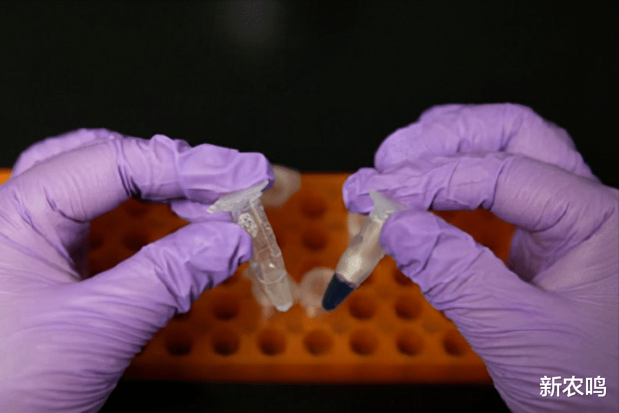 科学家 我国科学家完成人工合成淀粉，让化解粮食和气候危机成为可能