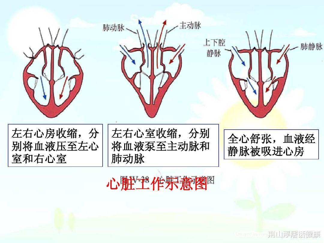 荆山浮屠话健康|天气转冷，降血压药物要调整剂量吗？胸闷喘一定是心血管问题吗？