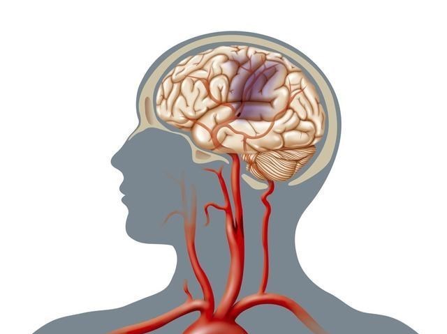 猩猩 人类这么弱，连猩猩都打不过，人类祖先是怎么活下来的？