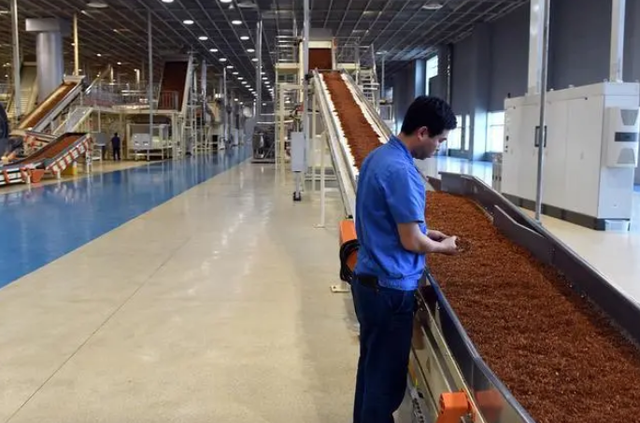 内卷|名校生争当流水线操作工，高学历就业多内卷？“体制人”乐在其中