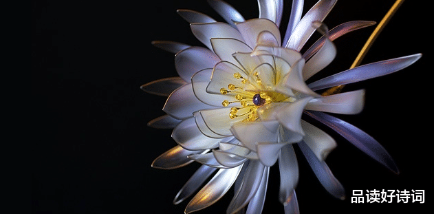 |「诗词鉴赏」昙花一现为韦陀，古诗词里的昙花，一现刹那芳华