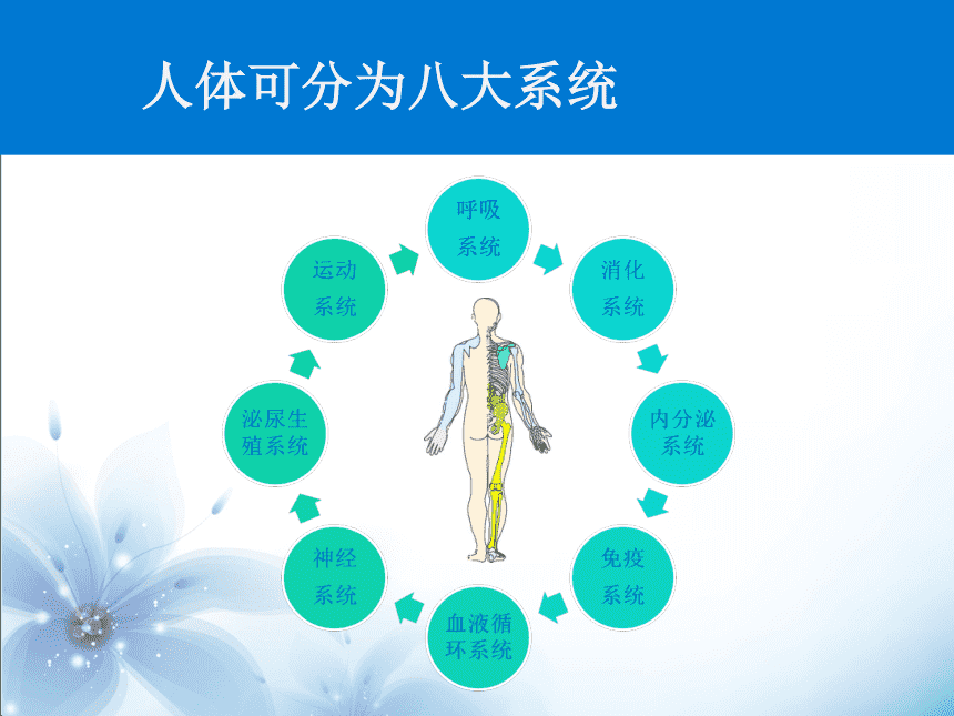 杭吉干细胞科技|详解干细胞如何保护人体八大系统，从而让人类获得健康长寿的奥秘