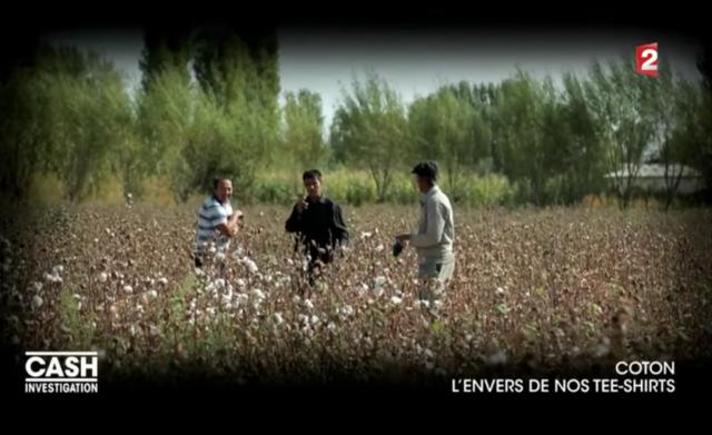 直新闻 新疆棉花为何被攻击？H&M声明背后，你还应该了解这些事