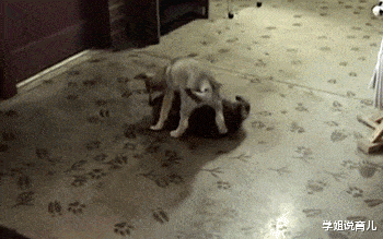 学姐说育儿|“华为1996年的招聘广告，大家自己感受一下！”哈哈哈哈哈！