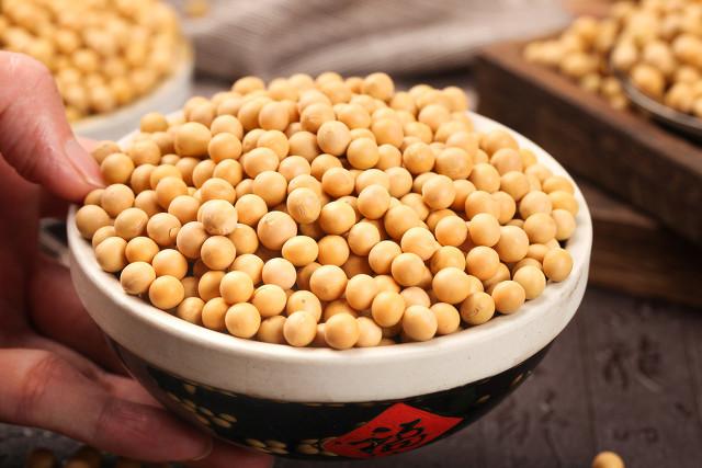 新冠病毒 非转基因和转基因黄豆,差别大,看这一眼就能区分,看完别买错了