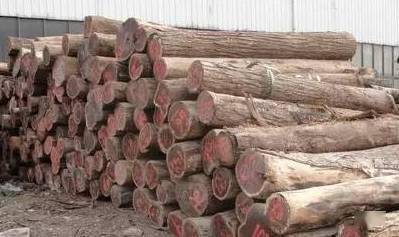 小王话红木|大红酸枝未来：涨势必然