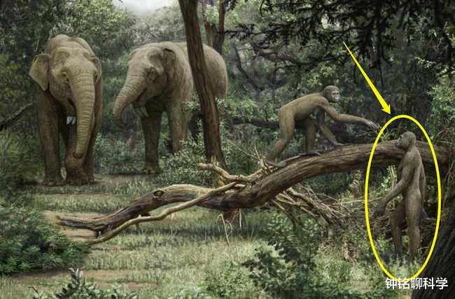  动物刚出生就会走，人类婴儿为何却没有任何生存能力？