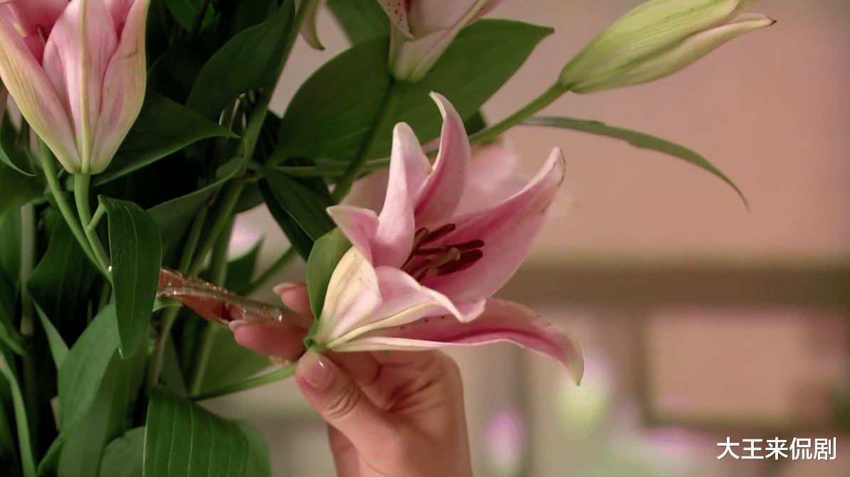 安陵容|安陵容小产甄嬛为何一直捂着鼻子?秘诀全在眼神中,皇后错失了良机