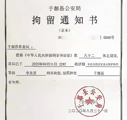 热点微评社 欲加之罪？男子采伐4棵“死树”被罚款起诉：建议量刑4年半！