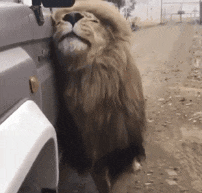  “25岁小伙被40岁阿姨老牛吃嫩草，问题是还很美！”这波赚大了啊