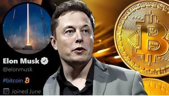 比特币 阿帆说币：马斯克疯狂收割，比特币惨不忍睹