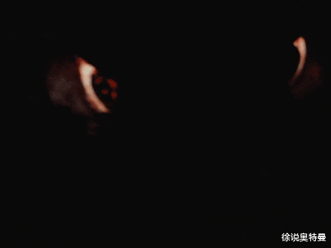 acgn漫评|一只藏在照片里的怪兽，MAT队员都不相信，乡：我相信