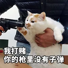 季后赛|战术指挥室：海神会告诉你，是谁在召唤舰队