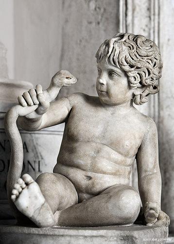 全球变暖 蛇的弱点究竟在哪？遭遇到巨蟒攻击，最正确的防御措施是什么？