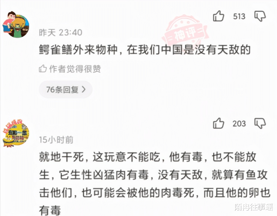 “到底是鳄鱼出了轨,还是鲶鱼劈了腿”钓上来了啥玩意?