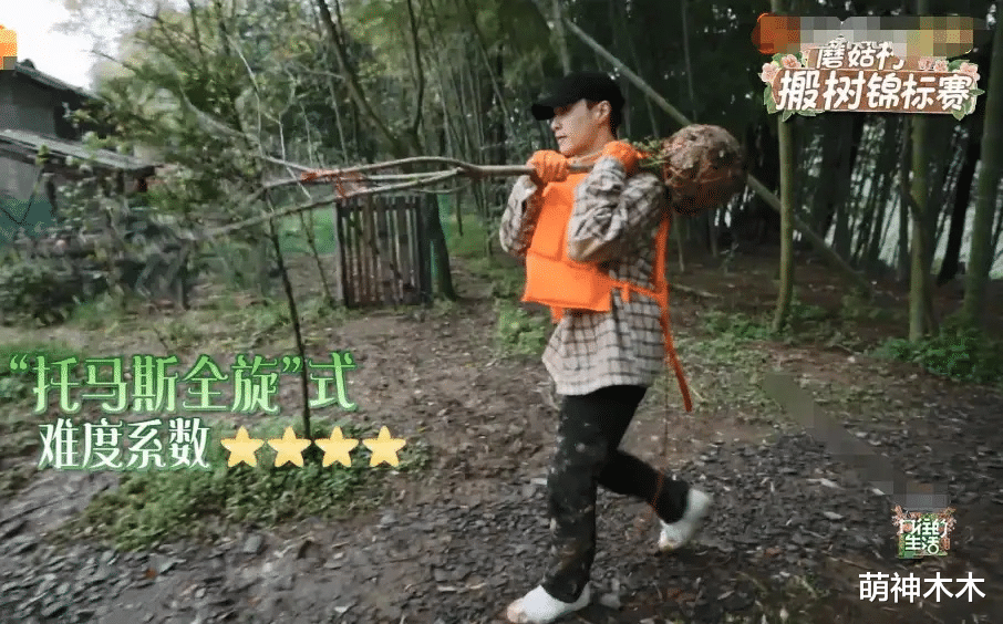 张子枫|《向往5》又惹争议,黄磊做早餐饭量不够,彭昱畅张子枫吃盒饭