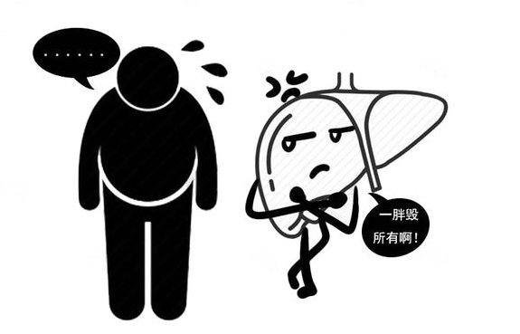 医生胡侃|脂肪肝的“克星”找到了，若你能坚持，或给肝脏减减肥！