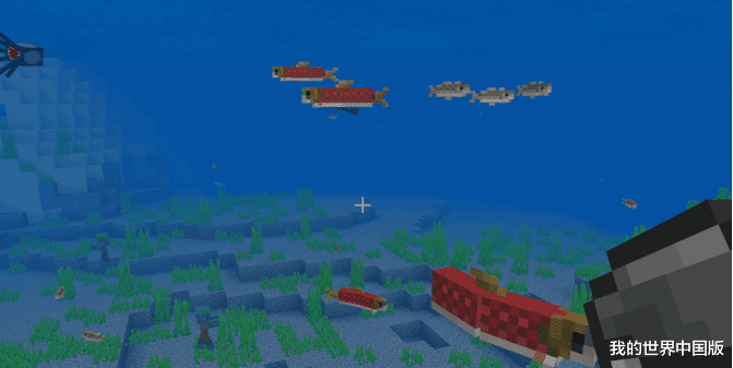 鳊鱼|水底究竟有多少种鱼？《我的世界》全自动钓鱼机 让你见识全鱼宴