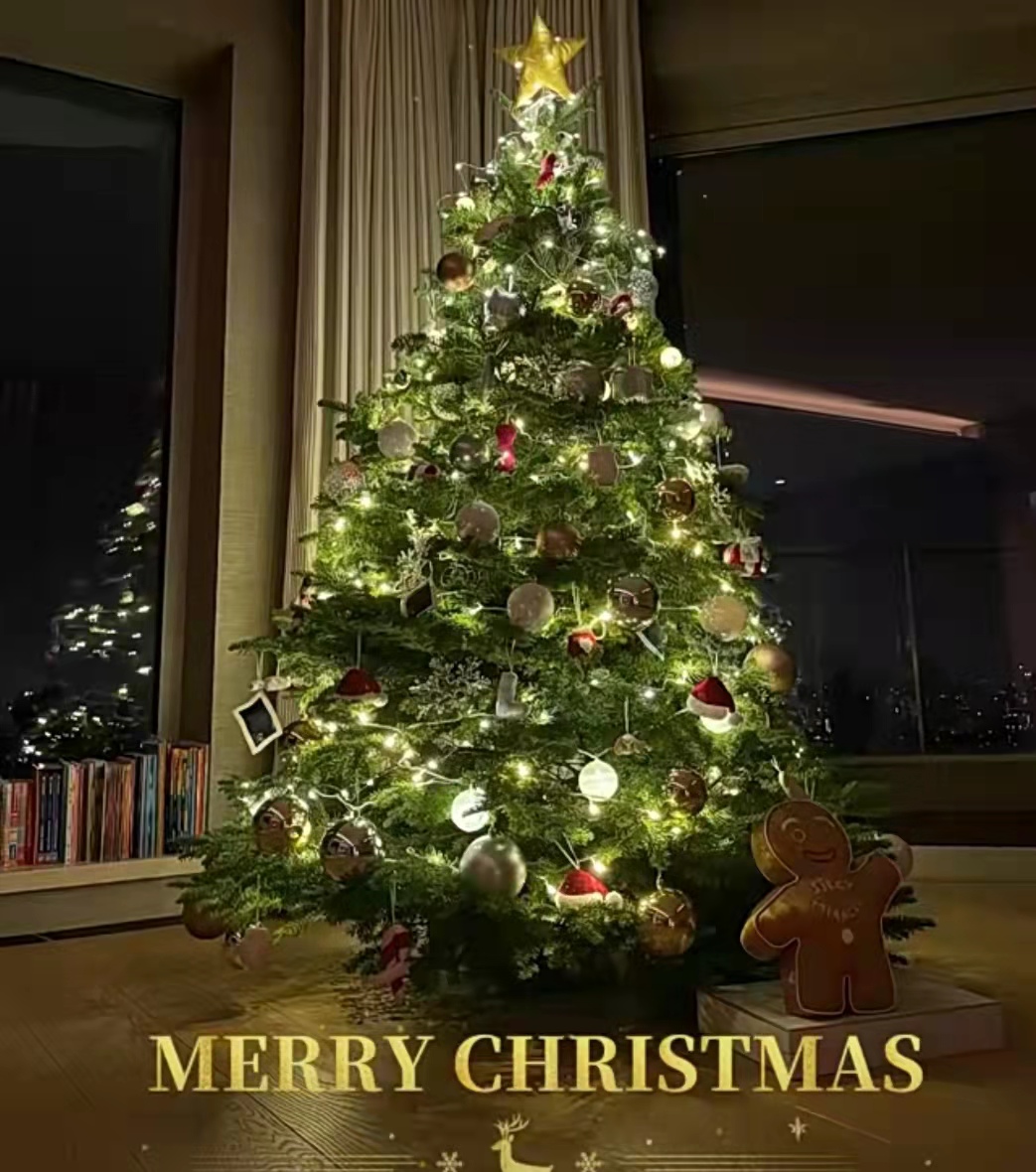 小家伙|奚梦瑶圣诞节和儿子一起装饰圣诞树，小家伙忙前忙后，兴致极高