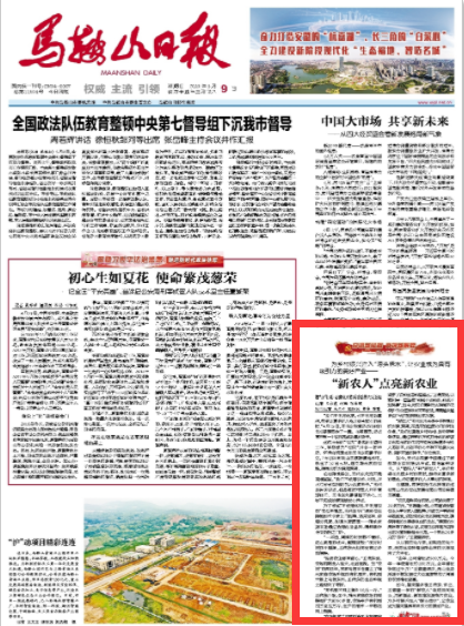 语若语非 马鞍山的农民有点牛:一斤大米16元一个桃子30元,种田也能发大财