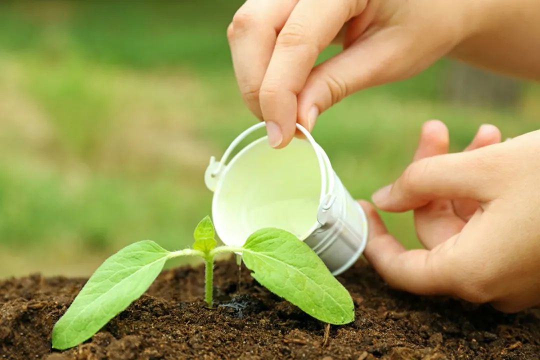 饭饭妈妈育儿|越骂孩子只会越糟，你发现了吗？罗森塔尔效应：好孩子是夸出来的