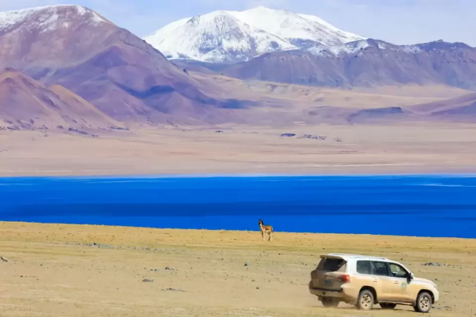 荷花 这条全世界海拔最高的公路向你发出入藏挑战!敢不敢一试?